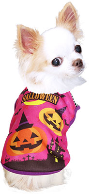 【犬服 犬 服 秋冬 犬の服 ドッグウェア ハロウィン 秋 冬用 ボーダー】フライングパンプキン シャツ(3D)【かぼちゃ ダックス トイプードル チワワ かわいい コーギー タムベディ】