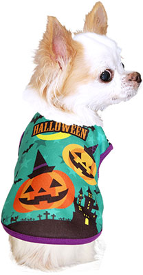 【犬服 犬 服 秋冬 犬の服 ドッグウェア ハロウィン 秋 冬用 ボーダー】フライングパンプキン シャツ(3D)【かぼちゃ ダックス トイプードル チワワ かわいい コーギー タムベディ】