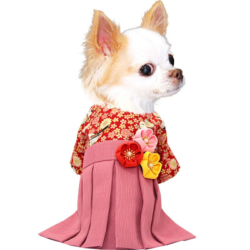 【犬服 犬 服 犬の服 秋服 冬服用】うららか袴 福寿(ふくじゅ)《名入れ可能》【日本製 着物 和装 お正月 初詣 年賀状 七五三 前開きドッグ ペット ウェア ダックス トイプードル チワワ タムベディ艶やか シーズー】