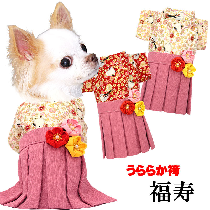 【犬服 犬 服 犬の服 秋服 冬服用】うららか袴 福寿(ふくじゅ)《名入れ可能》【日本製 着物 和装 お正月 初詣 年賀状 七五三 前開きドッグ ペット ウェア ダックス トイプードル チワワ タムベディ艶やか シーズー】