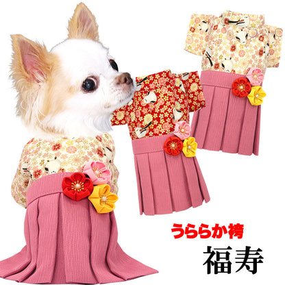 【犬服 犬 服 犬の服 秋服 冬服用】うららか袴 福寿(ふくじゅ)《名入れ可能》【日本製 着物 和装 お正月 初詣 年賀状 七五三 前開きドッグ ペット ウェア ダックス トイプードル チワワ タムベディ艶やか シーズー】