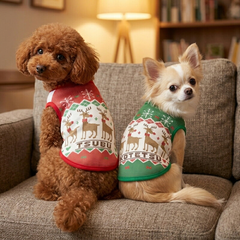 【犬服 犬 服 犬の服 秋服 冬服用】愛犬のお名前入り ファンウィンターシャツ【トナカイ クリスマス 雪の結晶 日本製ドッグ ペット ウェア ダックス トイプードル チワワ タムベディ かわいい シーズー】(S/3/N/H/)