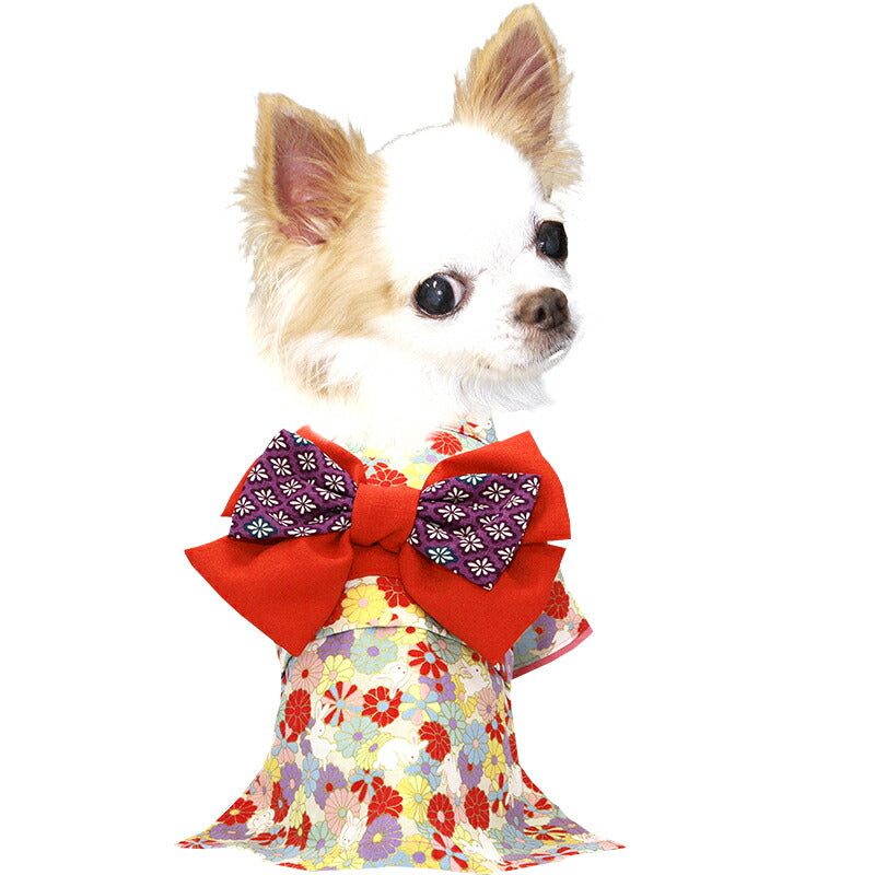 【犬服 犬 服 犬の服 秋服 冬服用】艶やか晴れ着 風華(ふうか)《名入れ可能》《コサージュ別売》【着物 お正月 初詣 年賀状 七五三 前開きドッグ ペット ウェア ダックス トイプードル チワワ タムベディ おしゃれ】