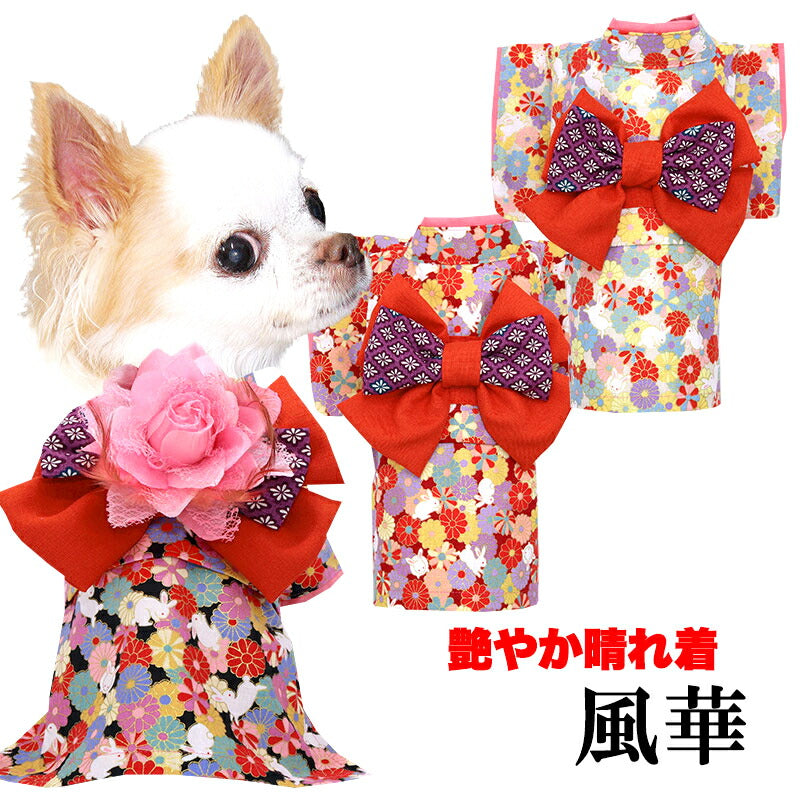 【犬服 犬 服 犬の服 秋服 冬服用】艶やか晴れ着 風華(ふうか)《名入れ可能》《コサージュ別売》【着物 お正月 初詣 年賀状 七五三 前開きドッグ ペット ウェア ダックス トイプードル チワワ タムベディ おしゃれ】
