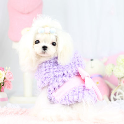 【犬服 犬 服 秋冬 犬の服】フワリボンコート アウター【ドッグウェア ペット アウトレット フリース マイヤー ボア ダックス トイプードル チワワ 服 タムベディ かわいい ヨーキー】[CN]