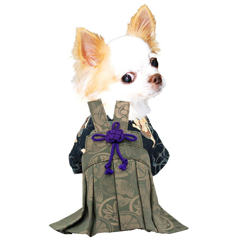 【着物 犬 服 犬の服 秋服 冬服用】男振り袴 雅神(がしん)《名入れ可能》【日本製 和柄 お正月 初詣 七五三 はかまドッグ ペット ウェア ダックス トイプードル チワワ タムベディ かっこいい ポメラニアン】