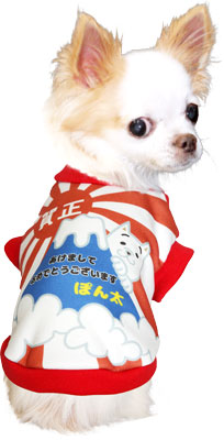 【犬服 犬 服 秋冬 犬の服 名入れ】愛犬のお名前入り 賀正わんこ 【ドッグウェア 年賀状 新年 祝 お正月 チワワ ダックス トイプードル おもしろい 富士山 マルチーズ タムベディ】(S/3/RI/H/)