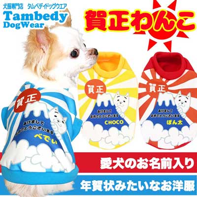 【犬服 犬 服 秋冬 犬の服 名入れ】愛犬のお名前入り 賀正わんこ 【ドッグウェア 年賀状 新年 祝 お正月 チワワ ダックス トイプードル おもしろい 富士山 マルチーズ タムベディ】(S/3/RI/H/)