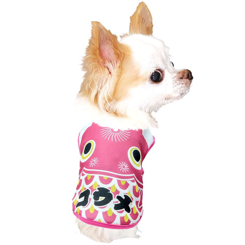 【犬服 犬 服 犬の服 名入れ 春夏服】愛犬のお名前入り 五月五日の五色鯉のぼり【こいのぼり 男の子 コスプレドッグ ペット ウェア ダックス トイプードル チワワ タムベディ 元気】(S/3/N/H/)