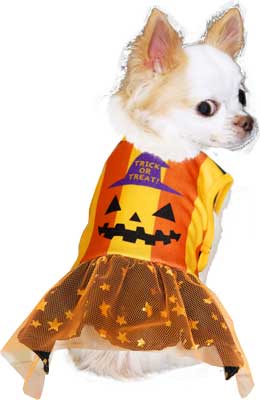 【犬服 犬 服 犬の服 ハロウィン 秋服 冬服用】ハロウィンヒーローズ ワンピース (3D)【ドッグウェア パンプキン かぼちゃ ダックス トイプードル チワワ おもしろ タムベディ】[GI]