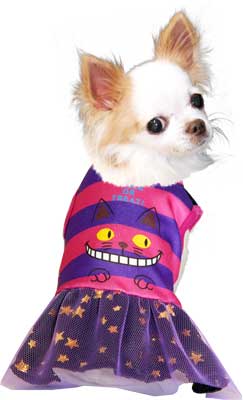 【犬服 犬 服 犬の服 ハロウィン 秋服 冬服用】ハロウィンヒーローズ ワンピース (3D)【ドッグウェア パンプキン かぼちゃ ダックス トイプードル チワワ おもしろ タムベディ】[GI]