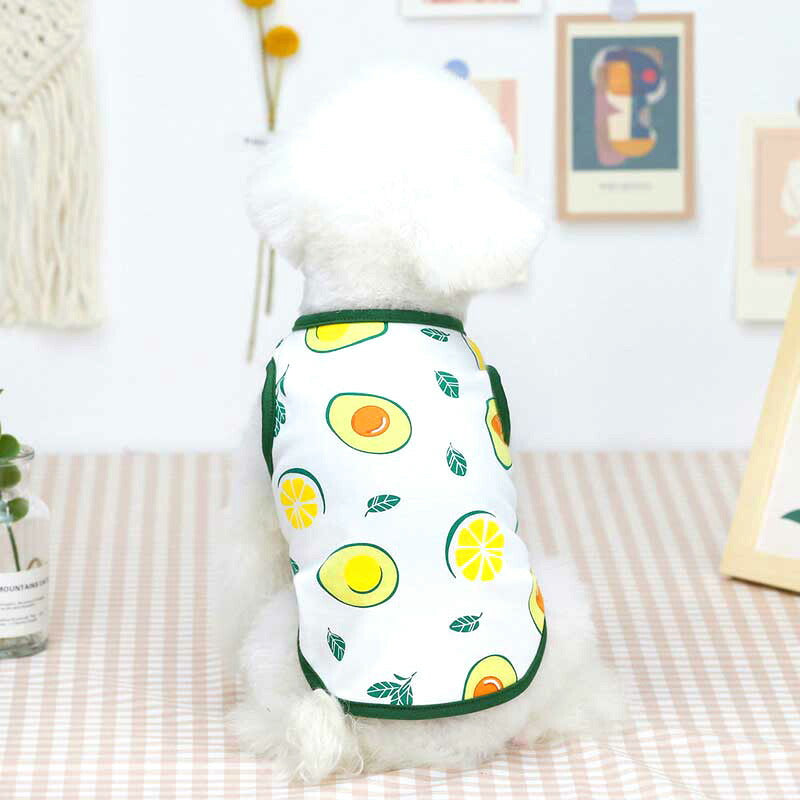 【犬 夏服 犬の服 春服用】《名入れ可能》ハッピーフルーツ2シャツ【ドッグウェア アボカド イチゴ オレンジ レモン スイカ 果物 ペット ダックス トイプードル チワワ タムベディ】[CN][GI]