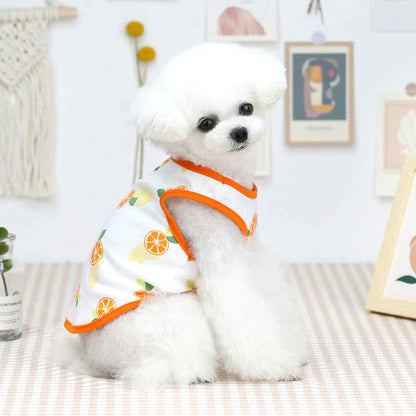 【犬 夏服 犬の服 春服用】《名入れ可能》ハッピーフルーツ2シャツ【ドッグウェア アボカド イチゴ オレンジ レモン スイカ 果物 ペット ダックス トイプードル チワワ タムベディ】[CN][GI]