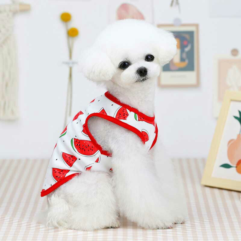 【犬 夏服 犬の服 春服用】《名入れ可能》ハッピーフルーツ2シャツ【ドッグウェア アボカド イチゴ オレンジ レモン スイカ 果物 ペット ダックス トイプードル チワワ タムベディ】[CN][GI]