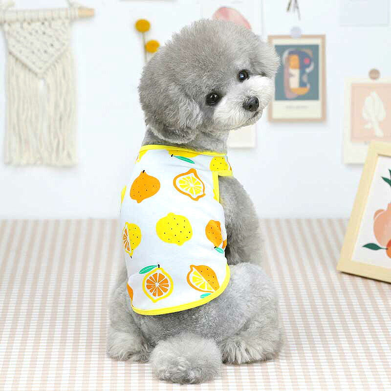 【犬 夏服 犬の服 春服用】《名入れ可能》ハッピーフルーツ2シャツ【ドッグウェア アボカド イチゴ オレンジ レモン スイカ 果物 ペット ダックス トイプードル チワワ タムベディ】[CN][GI]