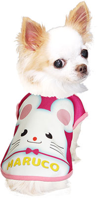 【犬服 犬 服 秋冬 犬の服 名入れ】愛犬のお名前入り ハッピーマウス シャツ【ドッグウェア 年賀状 ねずみ ネズミ 新年 祝 お正月 チワワ ダックス トイプードル おもしろい タムベディ】(S/3/N/H/)