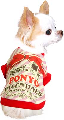 【犬服 犬 服 犬の服 秋服 冬服用 名入れ】愛犬のお名前入り ハッピーバレンタイン 【ドッグウェア チョコ ＶＴ リボン プレゼント チワワ ダックス トイプードル かわいい マルチーズ タムベディ】(S/3/RI/H/)