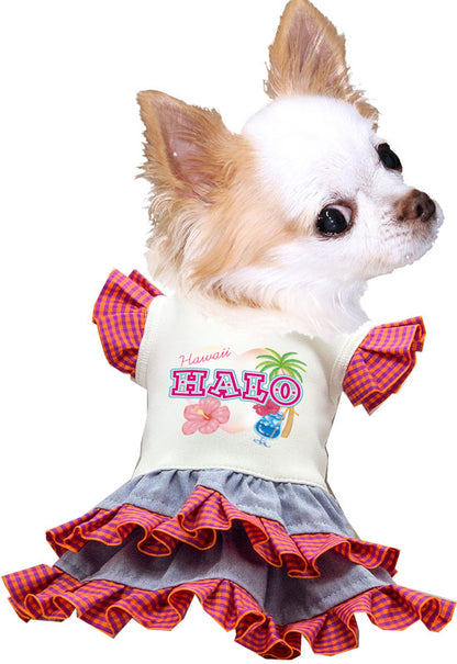 【犬服 犬 服 犬の服 名入れ 春服 夏服用】愛犬のお名前入り ハローワンピース【ドッグウェア ペット 女の子 ハワイ ヤシの木 トイプードル チワワ ダックス かわいい パピヨン タムベディ】(H/)