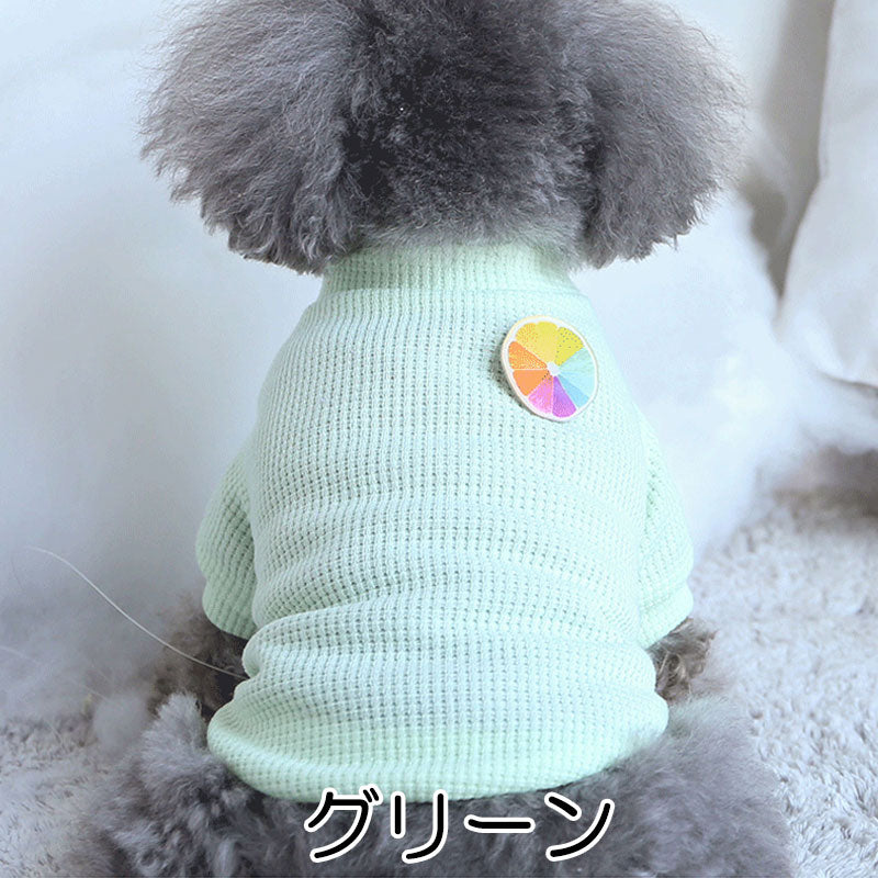 【犬服 犬 服 犬の服 秋服 冬服用】ハイネックワッフルシャツ※バッジは選べません【パステル さわやかドッグ ペット ウェア ダックス トイプードル チワワ タムベディかわいい】[CN]