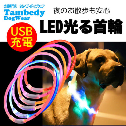 夜のお散歩も安心 光る首輪【LED首輪  安全 夜間 発光首輪 軽量小型犬 中型犬 USB充電式 発熱しない ドッグ ペット ウェア ダックス トイプードル チワワ タムベディ 安心ヨークシャテリア 】[CN]