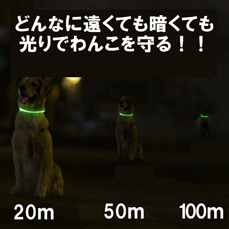 夜のお散歩も安心 光る首輪【LED首輪  安全 夜間 発光首輪 軽量小型犬 中型犬 USB充電式 発熱しない ドッグ ペット ウェア ダックス トイプードル チワワ タムベディ 安心ヨークシャテリア 】[CN]