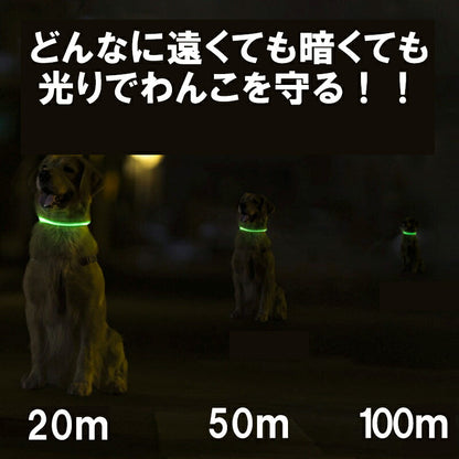 夜のお散歩も安心 光る首輪【LED首輪  安全 夜間 発光首輪 軽量小型犬 中型犬 USB充電式 発熱しない ドッグ ペット ウェア ダックス トイプードル チワワ タムベディ 安心ヨークシャテリア 】[CN]