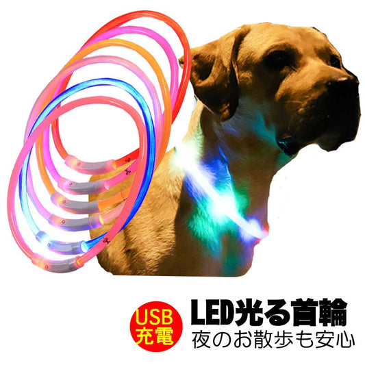 夜のお散歩も安心 光る首輪【LED首輪  安全 夜間 発光首輪 軽量小型犬 中型犬 USB充電式 発熱しない ドッグ ペット ウェア ダックス トイプードル チワワ タムベディ 安心ヨークシャテリア 】[CN]