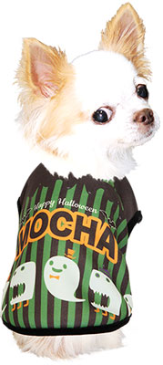 【犬服 犬 服 犬の服 名入れ ハロウィン 秋服 冬服用】愛犬のお名前入り ハロウィンパレード シャツ【ドッグウェア コスプレ ダックス トイプードル チワワ おもしろ 柴犬 タムベディ】(S/3/N/H/)