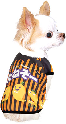 【犬服 犬 服 犬の服 名入れ ハロウィン 秋服 冬服用】愛犬のお名前入り ハロウィンパレード シャツ【ドッグウェア コスプレ ダックス トイプードル チワワ おもしろ 柴犬 タムベディ】(S/3/N/H/)