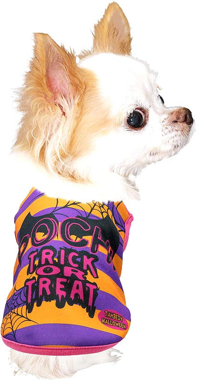 【犬服 犬 服 犬の服 名入れ 秋服 冬服用】愛犬のお名前入り ハロウィンスパイダー【ドッグウェア コウモリ ボーダー ドッグ ペット ウェア ダックス トイプードル チワワ タムベディ】(S/3/N/H/)