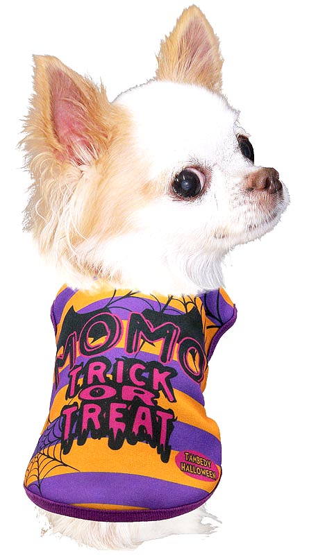 【犬服 犬 服 犬の服 名入れ 秋服 冬服用】愛犬のお名前入り ハロウィンスパイダー【ドッグウェア コウモリ ボーダー ドッグ ペット ウェア ダックス トイプードル チワワ タムベディ】(S/3/N/H/)