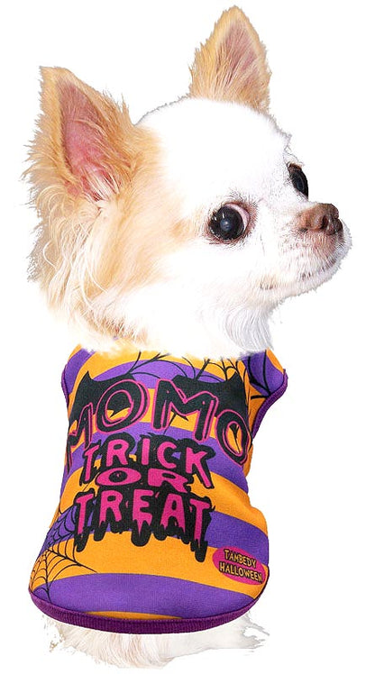 【犬服 犬 服 犬の服 名入れ 秋服 冬服用】愛犬のお名前入り ハロウィンスパイダー【ドッグウェア コウモリ ボーダー ドッグ ペット ウェア ダックス トイプードル チワワ タムベディ】(S/3/N/H/)