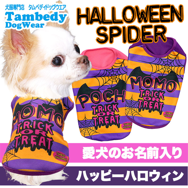 【犬服 犬 服 犬の服 名入れ 秋服 冬服用】愛犬のお名前入り ハロウィンスパイダー【ドッグウェア コウモリ ボーダー ドッグ ペット ウェア ダックス トイプードル チワワ タムベディ】(S/3/N/H/)