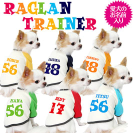 【犬服 犬 服 犬の服 名入れ】愛犬のお名前入り 背番号＋お名前 ラグラントレーナー【ドッグウェア ペット ドクロ ダックス トイプードル チワワ おしゃれ パピヨン タムベディ】[GI](O/F/RA/L/)