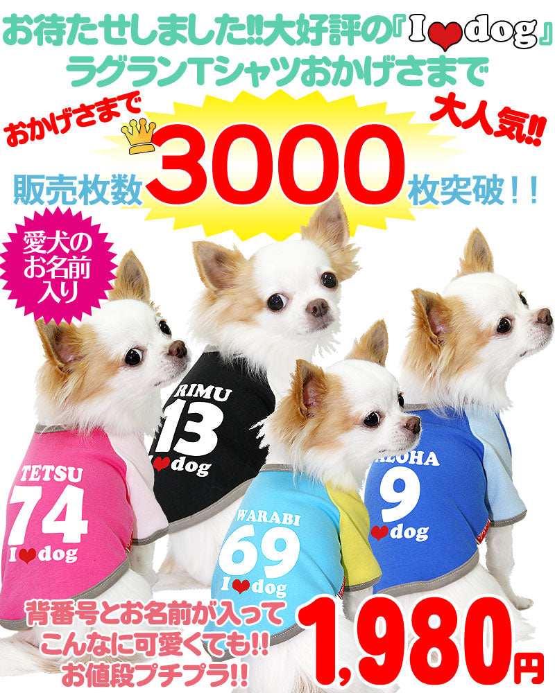 【犬服 犬 服 犬の服 ドッグウェア 名入れ】愛犬のお名前入り 背番号＋お名前 2011アイラブドッグラグランシャツ 発送まで7営業日【服 ウェア I LOVE DOG タムベディ】(O/F/RA/L/)