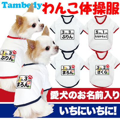 【犬服 犬 服 犬の服 名入れ】愛犬のお名前入り わんこ体操服 和柄【ドッグウェア ペット チワワ ダックス トイプードル かわいい ポメラニアン タムベディ】(O/F/RA/L/)