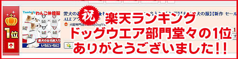 【犬服 犬 服 犬の服 名入れ】愛犬のお名前入り わんこ体操服 和柄【ドッグウェア ペット チワワ ダックス トイプードル かわいい ポメラニアン タムベディ】(O/F/RA/L/)
