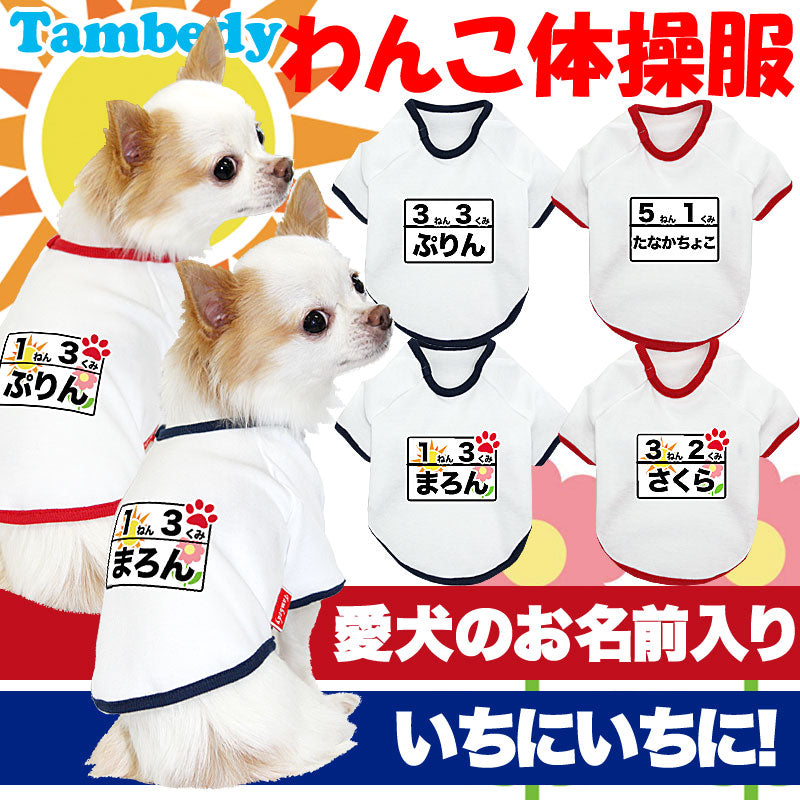 【犬服 犬 服 犬の服 名入れ】愛犬のお名前入り わんこ体操服 和柄【ドッグウェア ペット チワワ ダックス トイプードル かわいい ポメラニアン タムベディ】(O/F/RA/L/)