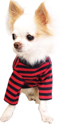 【犬服 犬 服 秋冬 犬の服】《名入れ可能》ボーダーロングスリーブ シャツ 長袖 【ドッグウェア ペット 寒さ対策 チワワ ダックス トイプードル タムベディ かわいい ヨーキー】