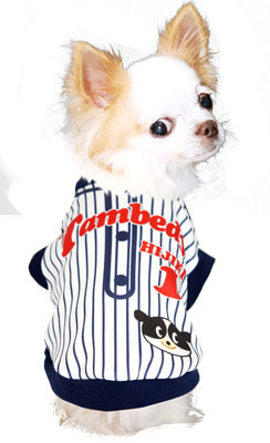 【犬服 犬 服 秋冬 犬の服 名入れ】愛犬のお名前入り ベースボールシャツ【ドッグウェア ペット ダックス トイプードル チワワ かわいい 柴犬 タムベディ】(S/3/RI/H/)