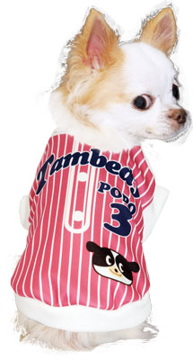【犬服 犬 服 秋冬 犬の服 名入れ】愛犬のお名前入り ベースボールシャツ【ドッグウェア ペット ダックス トイプードル チワワ かわいい 柴犬 タムベディ】(S/3/RI/H/)