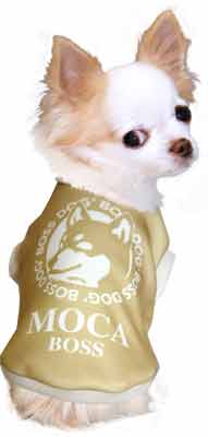 【犬服 犬 服 秋冬 犬の服 名入れ】愛犬のお名前入り ワンコーヒーボス【ドッグウェア トイプードル チワワ ダックス かわいい ポメラニアン タムベディ】(S/3/RI/H/)