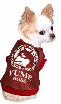 【犬服 犬 服 秋冬 犬の服 名入れ】愛犬のお名前入り ワンコーヒーボス【ドッグウェア トイプードル チワワ ダックス かわいい ポメラニアン タムベディ】(S/3/RI/H/)