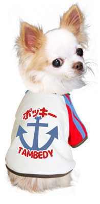 【犬服 犬 服 犬の服 名入れ】愛犬のお名前入り マリンアンカー ラグランスリーブ (SZ/3D)【ドッグウェア イカリ柄 タイニー トイプードル チワワ ダックス おしゃれ 柴犬 タムベディ】(O/B/RA/H/)