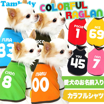 【犬服 犬 服 犬の服 ドッグウェア 名入れ】愛犬のお名前入り カラフルラグラン【チワワ ダックス トイプードル おしゃれ シーズー タムベディ】(O/F/RA/L/)
