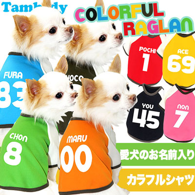 【犬服 犬 服 犬の服 ドッグウェア 名入れ】愛犬のお名前入り カラフルラグラン【チワワ ダックス トイプードル おしゃれ シーズー タムベディ】(O/F/RA/L/)