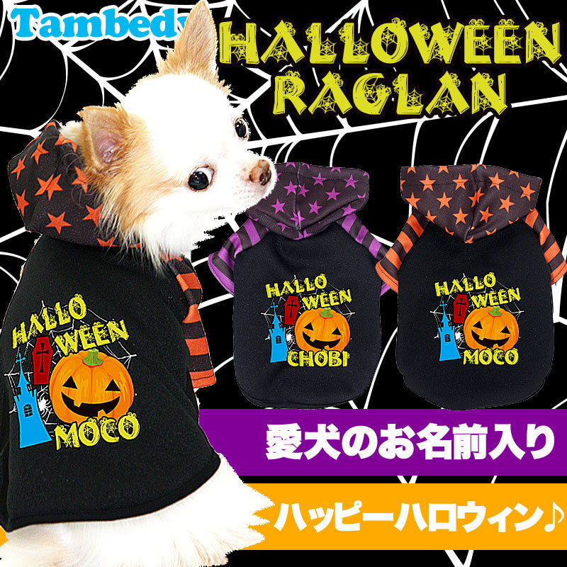 【犬服 犬 服 犬の服 名入れ ハロウィン 秋服 冬服用】愛犬のお名前入り ハロウィン ラグランパーカー【ドッグウェア かぼちゃ 星柄 ボーダー トイプードル チワワ ダックス おしゃれ 柴犬 タムベディ】(S/3/RA/H/)