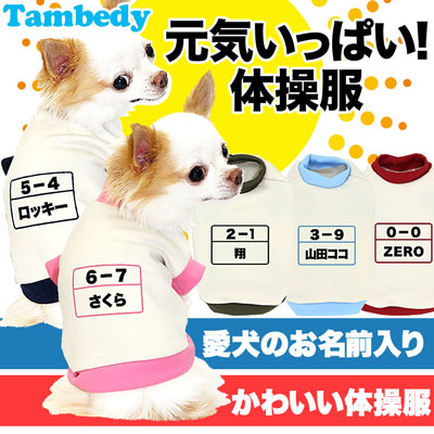【犬服 犬 服 犬の服 秋服 冬服用 名入れ】愛犬のお名前入り 元気いっぱい体操服和柄 中型犬用【ドッグウェア 和柄 フレンチブル パグ 柴犬  コーギー おもしろ コッカー タムベディ】(O/3/RI/H/)