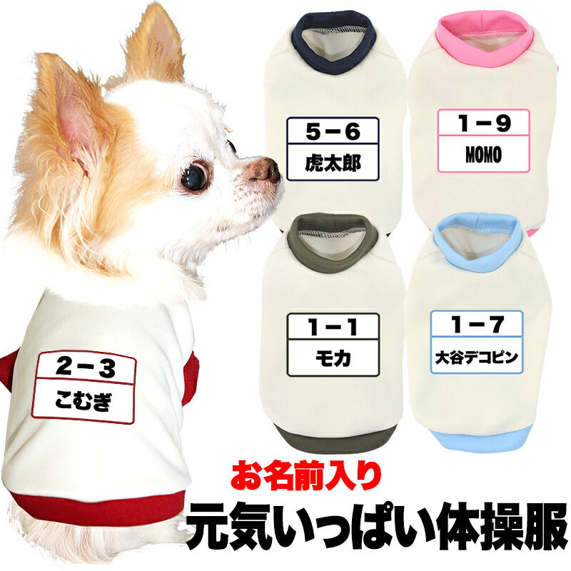 【犬服 犬 服 犬の服 秋服 冬服用 名入れ】愛犬のお名前入り 元気いっぱい体操服和柄 中型犬用【ドッグウェア 和柄 フレンチブル パグ 柴犬  コーギー おもしろ コッカー タムベディ】(O/3/RI/H/)