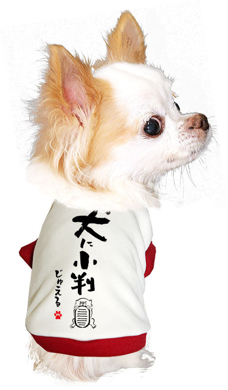 【犬服 犬 服 犬の服 名入れ 秋服 冬服用】愛犬のお名前入り 犬に小判【ドッグウェア ことわざ ッグ ペット ウェア ダックス トイプードル チワワ タムベディかわいい】(S/3/RI/H/)